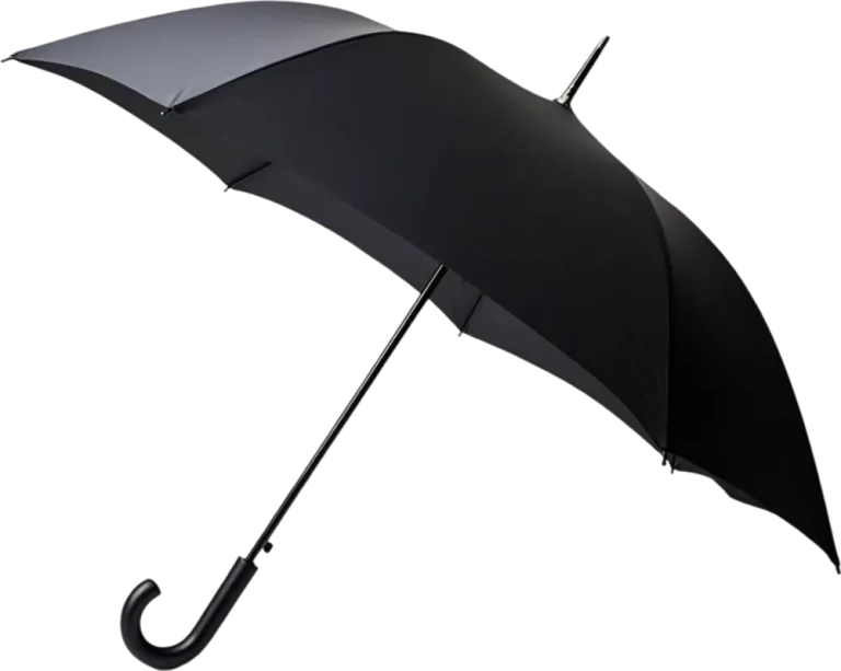 elegant-black-umbrella-classic-rain-accessory